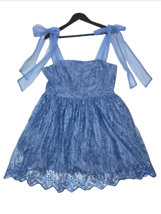 Audrey Parks Dresses & Skirts - Audrey Parks Blue Floral Tulle Tie Shoulder Mini Dress Women's XL